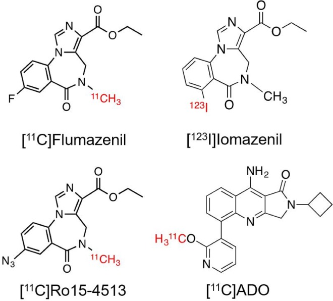 The Search for a Subtype-Selective PET Imaging Agent for the GABA<sub>A</sub> Receptor Complex: Evaluation of the Radiotracer [<sup>11</sup>C]ADO in Nonhuman Primates.