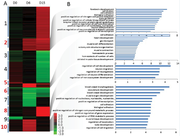 Arid3a regulates mesoderm differentiation in mouse embryonic stem cells.