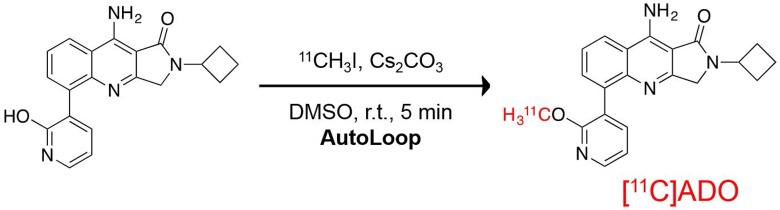 The Search for a Subtype-Selective PET Imaging Agent for the GABA<sub>A</sub> Receptor Complex: Evaluation of the Radiotracer [<sup>11</sup>C]ADO in Nonhuman Primates.