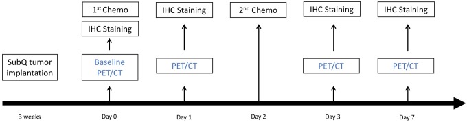 Preclinical Evaluation of <sup>18</sup>F-ML-10 to Determine Timing of Apoptotic Response to Chemotherapy in Solid Tumors.