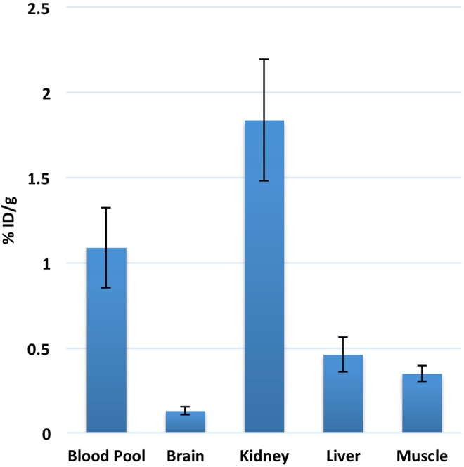 Preclinical Evaluation of <sup>18</sup>F-ML-10 to Determine Timing of Apoptotic Response to Chemotherapy in Solid Tumors.