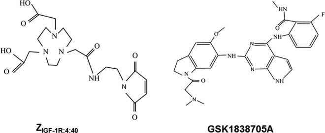 Molecular Imaging of IGF-1R in Cancer.