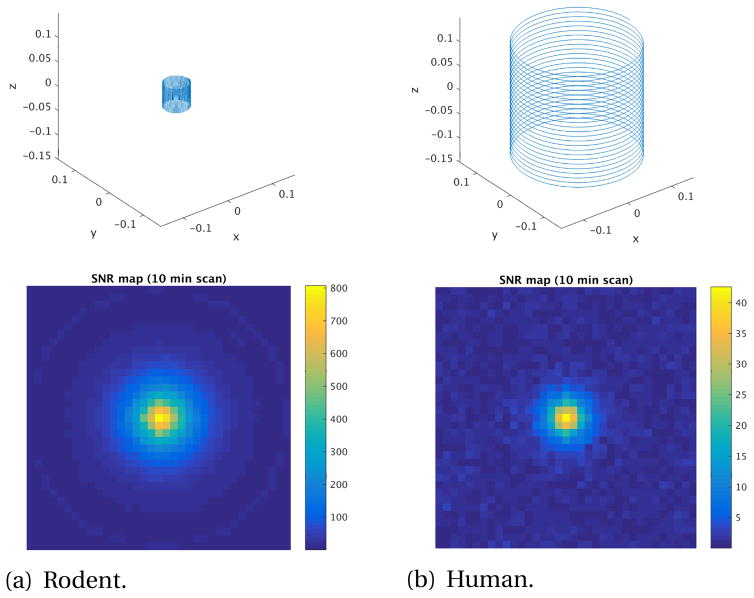 Design analysis of an MPI human functional brain scanner.