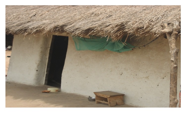 Low Utilization of Insecticide-Treated Bed Net among Pregnant Women in the Middle Belt of Ghana.