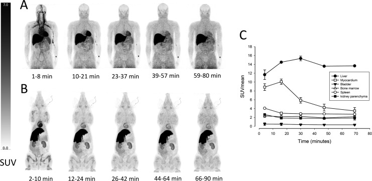 Whole-Body Biodistribution, Dosimetry, and Metabolite Correction of [<sup>11</sup>C]Palmitate: A PET Tracer for Imaging of Fatty Acid Metabolism.