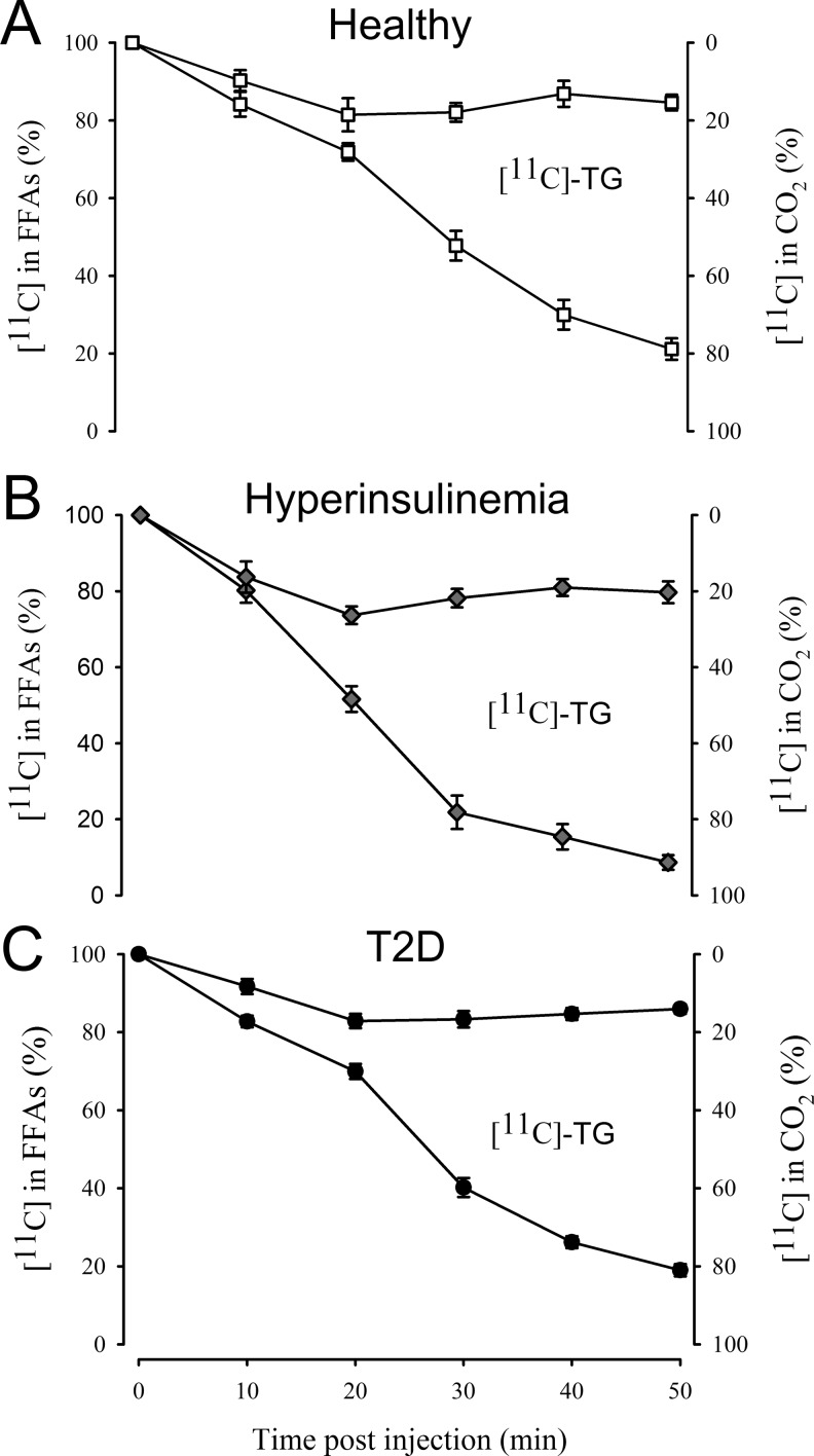 Whole-Body Biodistribution, Dosimetry, and Metabolite Correction of [<sup>11</sup>C]Palmitate: A PET Tracer for Imaging of Fatty Acid Metabolism.