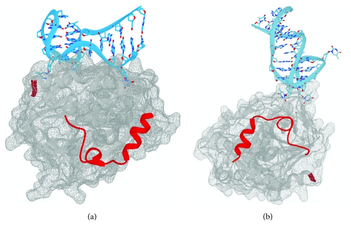 On Characterizing the Interactions between Proteins and Guanine Quadruplex Structures of Nucleic Acids.