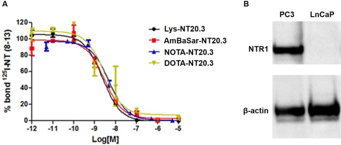 Imaging Neurotensin Receptor in Prostate Cancer With <sup>64</sup>Cu-Labeled Neurotensin Analogs.