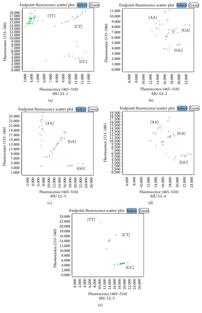 Development of SNP Genotyping Assays for Seed Composition Traits in Soybean.