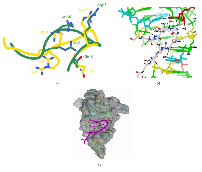 On Characterizing the Interactions between Proteins and Guanine Quadruplex Structures of Nucleic Acids.