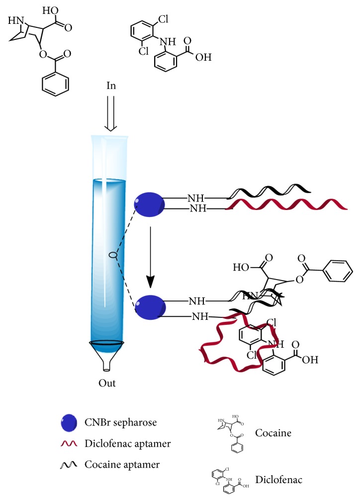 Aptamers as the Agent in Decontamination Assays (Apta-Decontamination Assays): From the Environment to the Potential Application <i>In Vivo</i>.