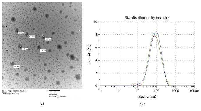 Kanamycin Sulphate Loaded PLGA-Vitamin-E-TPGS Long Circulating Nanoparticles Using Combined Coating of PEG and Water-Soluble Chitosan.