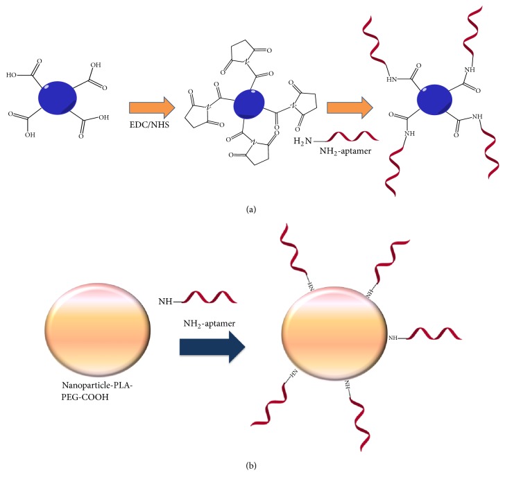 Aptamers as the Agent in Decontamination Assays (Apta-Decontamination Assays): From the Environment to the Potential Application <i>In Vivo</i>.