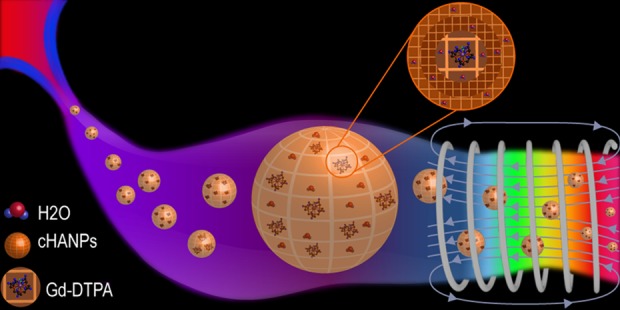 Commentary on "A Microfluidic Platform to Design Crosslinked Hyaluronic Acid Nanoparticles (cHANPs) for Enhanced MRI".