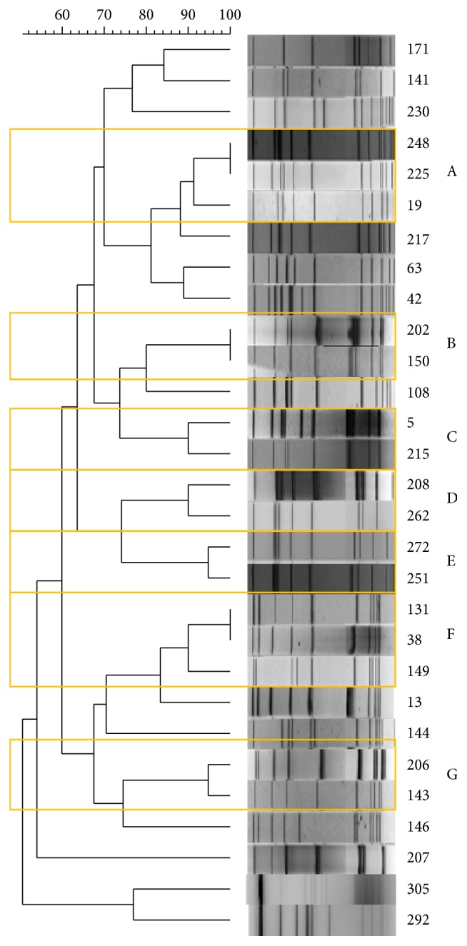 Epidemiology and Molecular Typing of Pregnancy-Associated Listeriosis Cases in Lombardy, Italy, over a 10-Year Period (2005-2014).