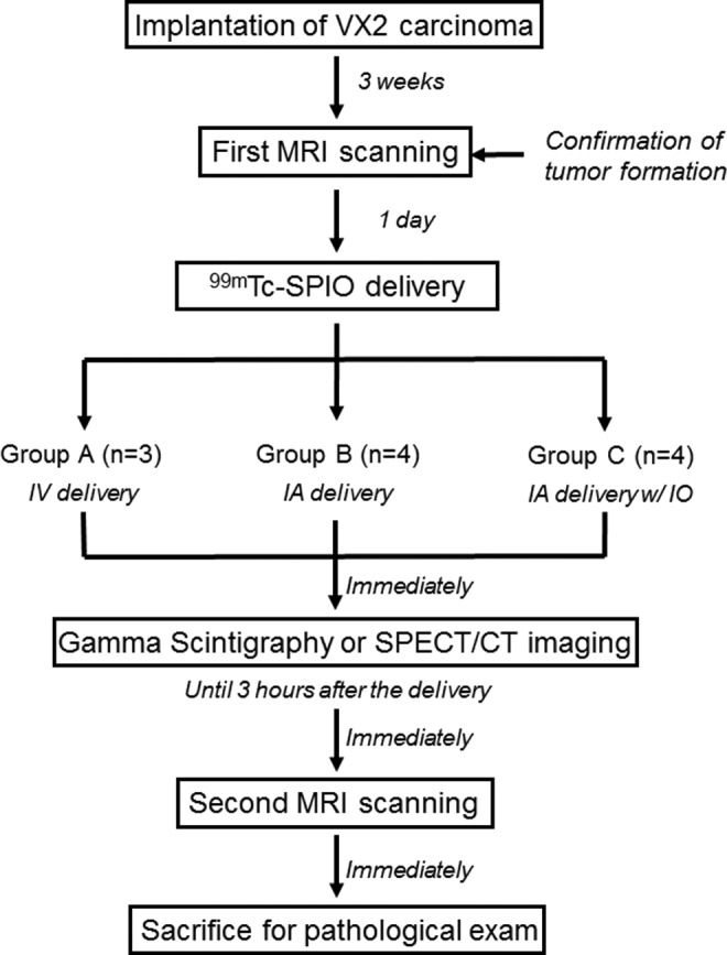 Image-Based Analysis of Tumor Localization After Intra-Arterial Delivery of Technetium-99m-Labeled SPIO Using SPECT/CT and MRI.