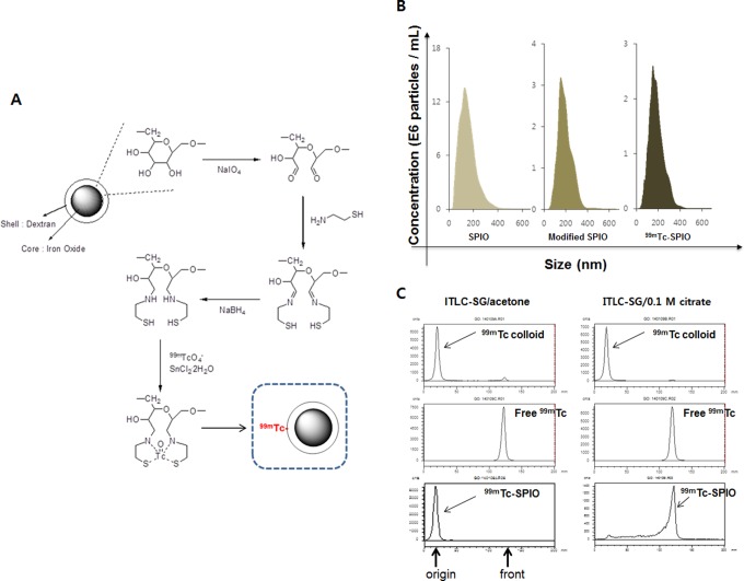 Image-Based Analysis of Tumor Localization After Intra-Arterial Delivery of Technetium-99m-Labeled SPIO Using SPECT/CT and MRI.