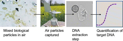 Novel Technologies for the detection of Fusarium head blight disease and airborne inoculum.