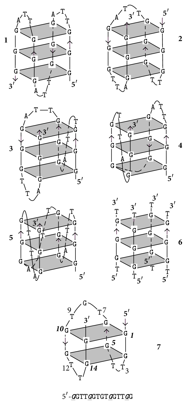 In What Ways Do Synthetic Nucleotides and Natural Base Lesions Alter the Structural Stability of G-Quadruplex Nucleic Acids?