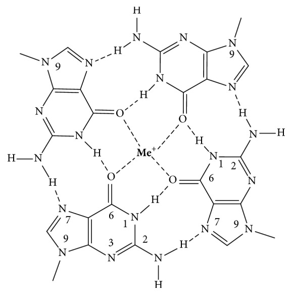 In What Ways Do Synthetic Nucleotides and Natural Base Lesions Alter the Structural Stability of G-Quadruplex Nucleic Acids?