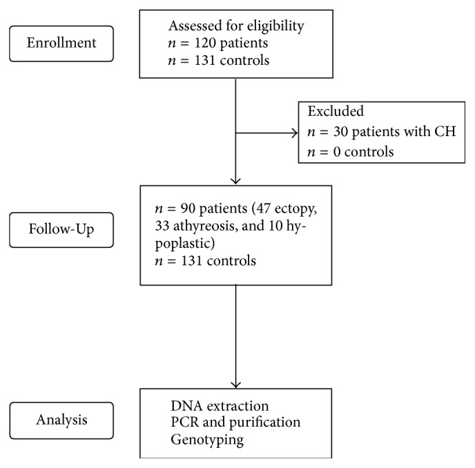 Does the Polymorphism in the Length of the Polyalanine Tract of <i>FOXE1</i> Gene Influence the Risk of Thyroid Dysgenesis Occurrence?