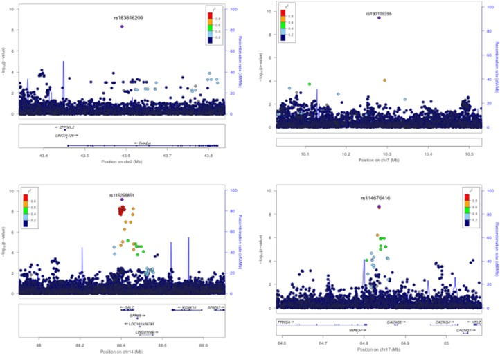 Whole-genome association study of antibody response to Epstein-Barr virus in an African population: a pilot.