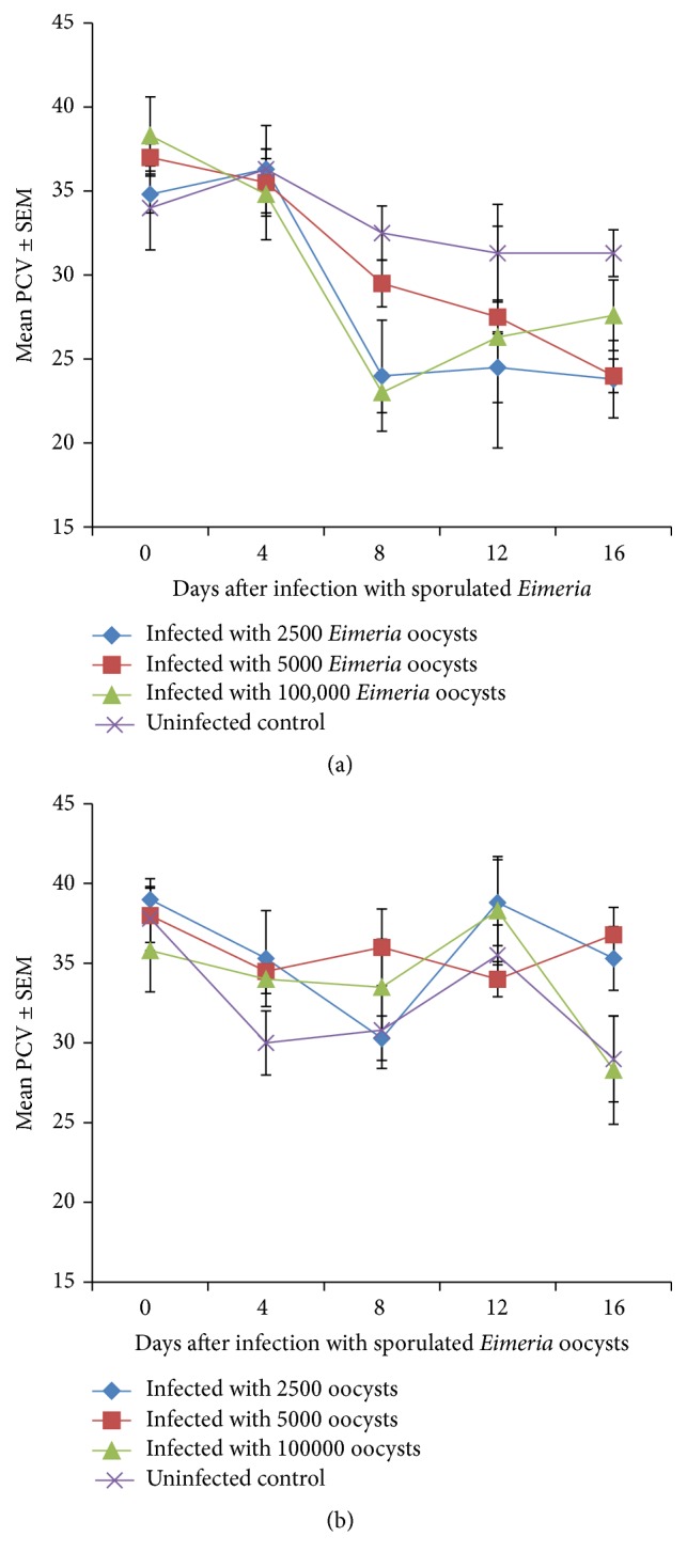 Comparative Response of the Nigerian Indigenous and Broiler Chickens to a Field Caecal Isolate of <i>Eimeria</i> Oocysts.