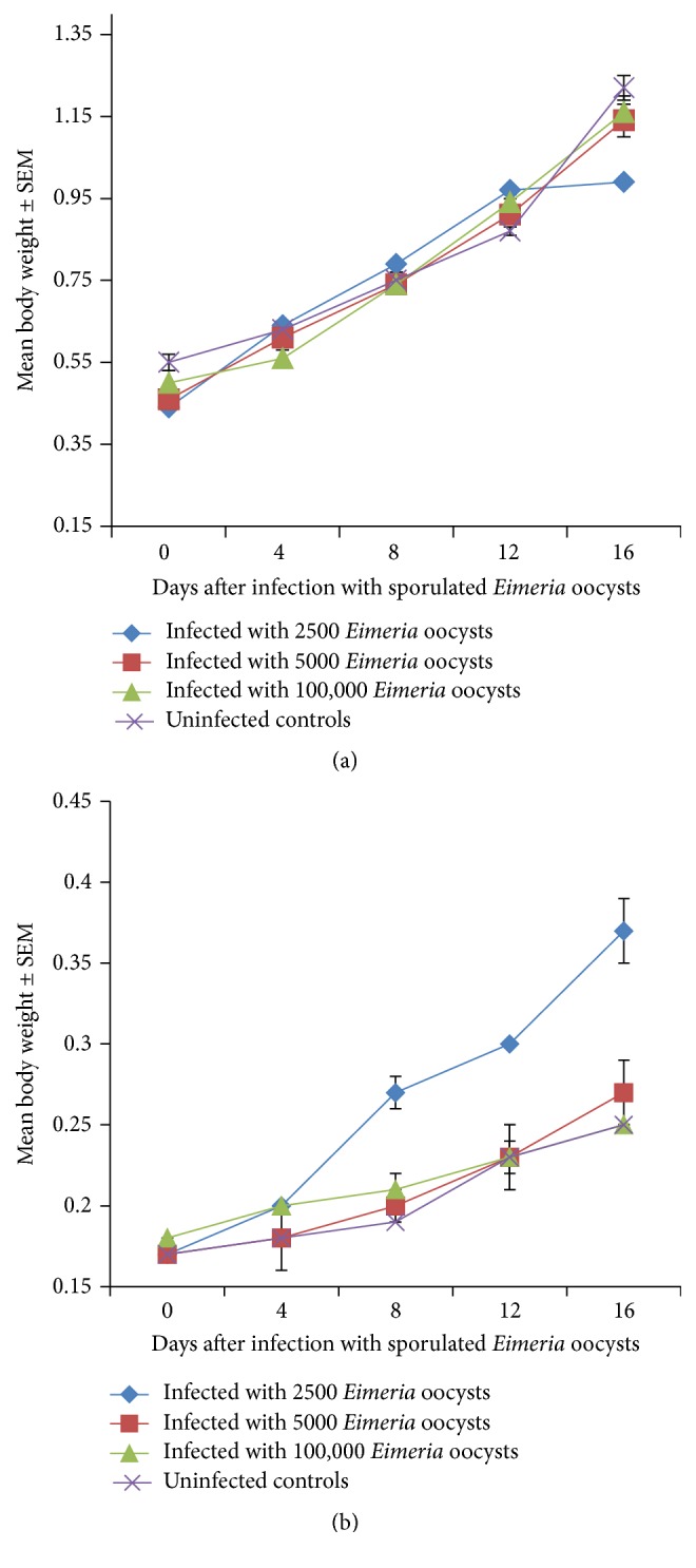 Comparative Response of the Nigerian Indigenous and Broiler Chickens to a Field Caecal Isolate of <i>Eimeria</i> Oocysts.