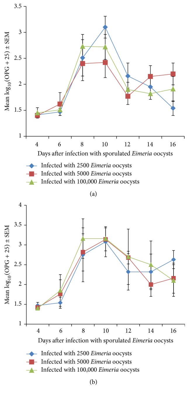 Comparative Response of the Nigerian Indigenous and Broiler Chickens to a Field Caecal Isolate of <i>Eimeria</i> Oocysts.