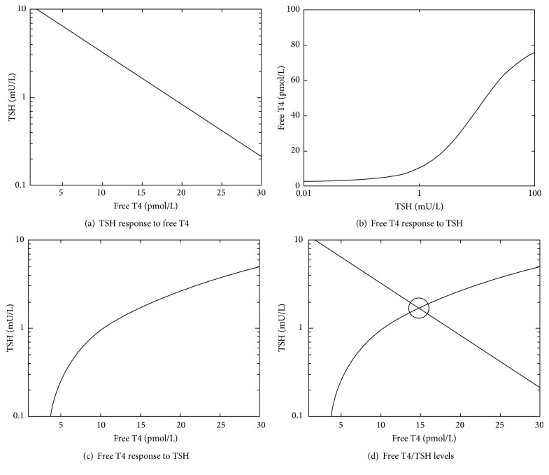 Corrigendum to "The Relationship between Population T4/TSH Set Point Data and T4/TSH Physiology".