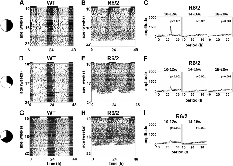 Prolonged day length exposure improves circadian deficits and survival in a transgenic mouse model of Huntington's disease