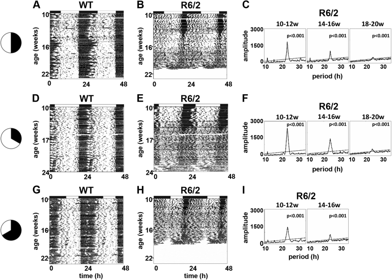 Prolonged day length exposure improves circadian deficits and survival in a transgenic mouse model of Huntington's disease