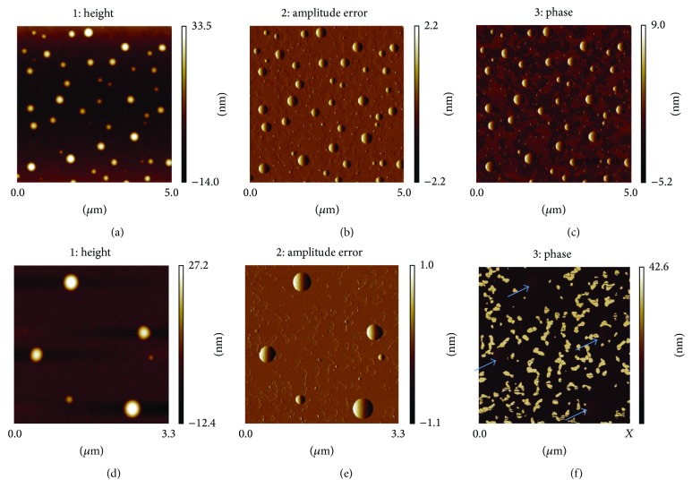 Deformable Nanovesicles Synthesized through an Adaptable Microfluidic Platform for Enhanced Localized Transdermal Drug Delivery.