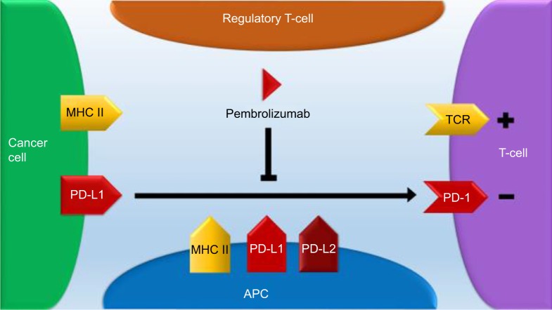 Pembrolizumab in the treatment of metastatic non-small-cell lung cancer: patient selection and perspectives.
