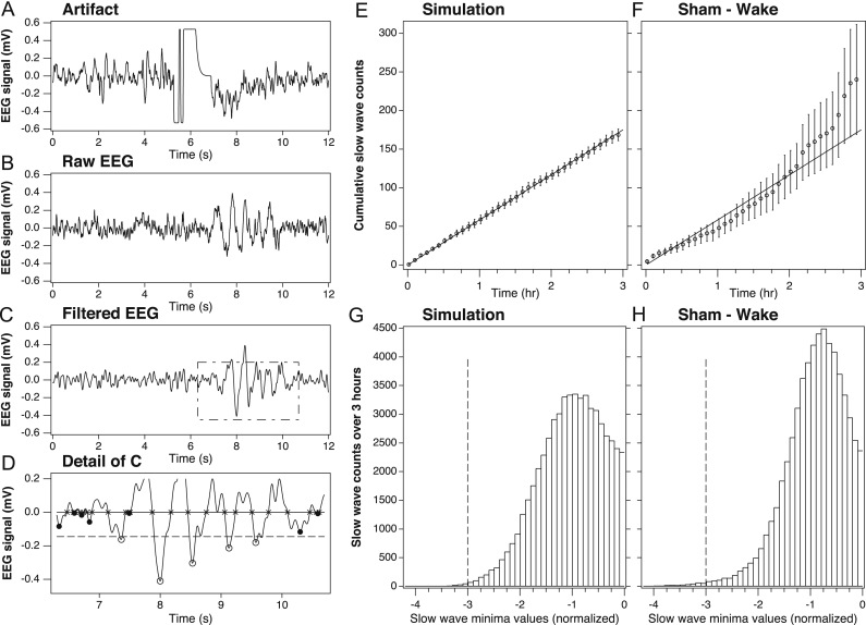 EEG slow waves in traumatic brain injury: Convergent findings in mouse and man