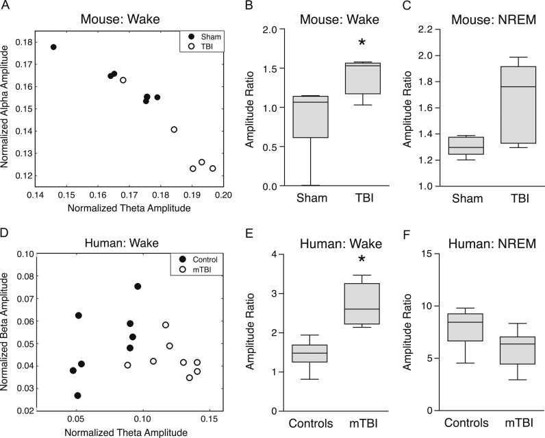 EEG slow waves in traumatic brain injury: Convergent findings in mouse and man