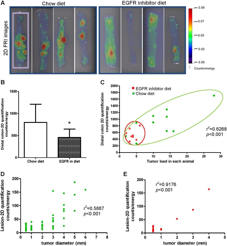 Ex Vivo and In Vivo Noninvasive Imaging of Epidermal Growth Factor Receptor Inhibition on Colon Tumorigenesis Using Activatable Near-Infrared Fluorescent Probes.