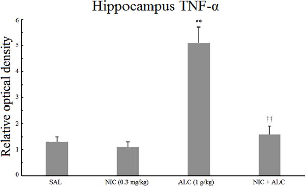 Alcohol-Induced Increases in Inflammatory Cytokines Are Attenuated by Nicotine in Region-Selective Manner in Male Rats.