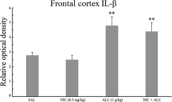 Alcohol-Induced Increases in Inflammatory Cytokines Are Attenuated by Nicotine in Region-Selective Manner in Male Rats.