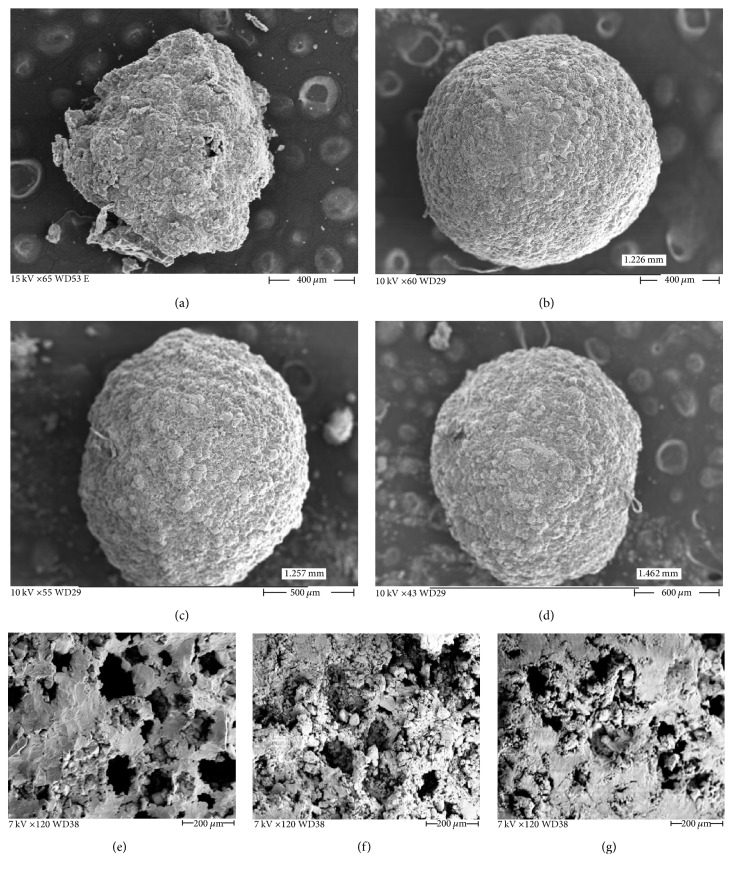 Preparation, Characterization, and <i>In Vivo</i> Pharmacoscintigraphy Evaluation of an Intestinal Release Delivery System of Prussian Blue for Decorporation of Cesium and Thallium.