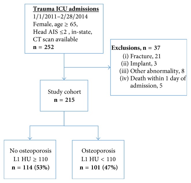 Assessment of Osteoporosis in Injured Older Women Admitted to a Safety-Net Level One Trauma Center: A Unique Opportunity to Fulfill an Unmet Need.