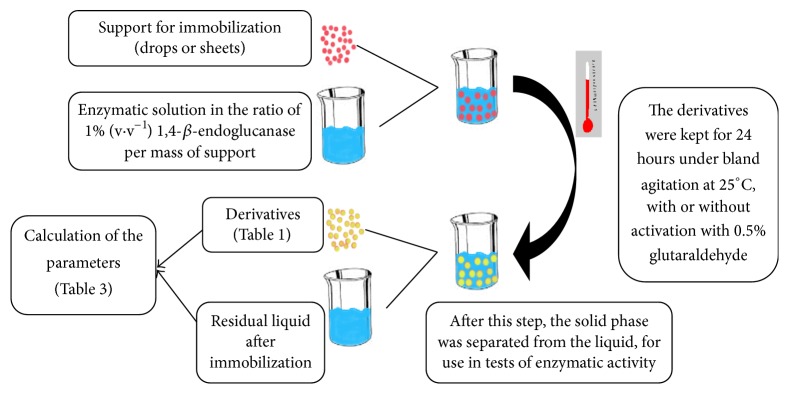 Recycle of Immobilized Endocellulases in Different Conditions for Cellulose Hydrolysis.