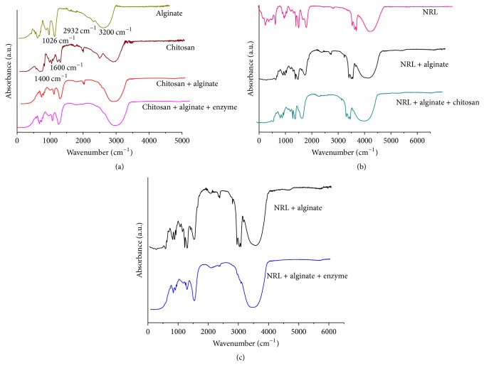 Recycle of Immobilized Endocellulases in Different Conditions for Cellulose Hydrolysis.