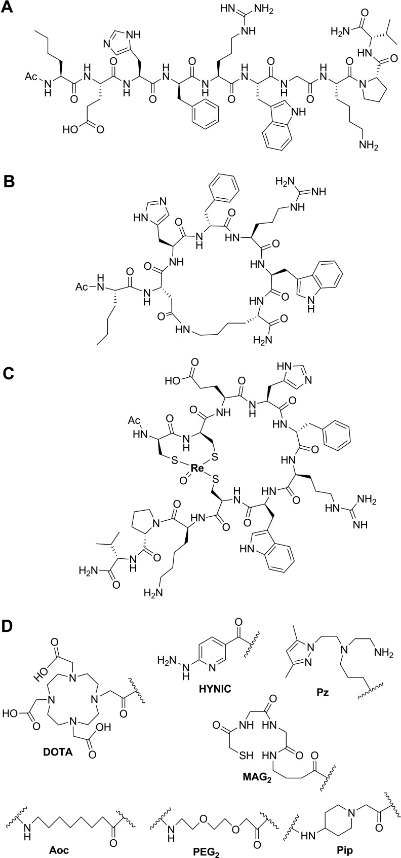 Molecular Imaging and Radionuclide Therapy of Melanoma Targeting the Melanocortin 1 Receptor.