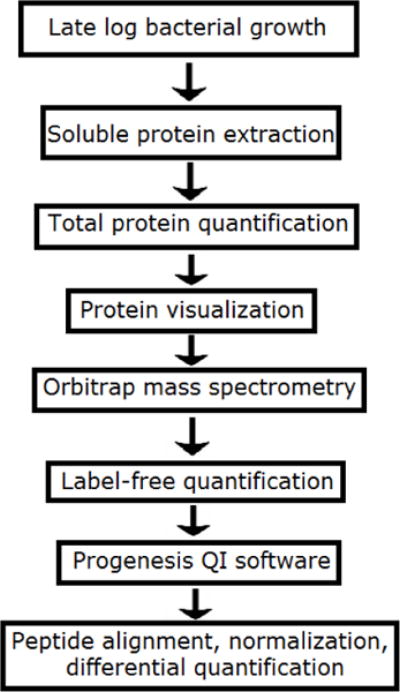 Proteomic Approach for Extracting Cytoplasmic Proteins from <i>Streptococcus sanguinis</i> using Mass Spectrometry.