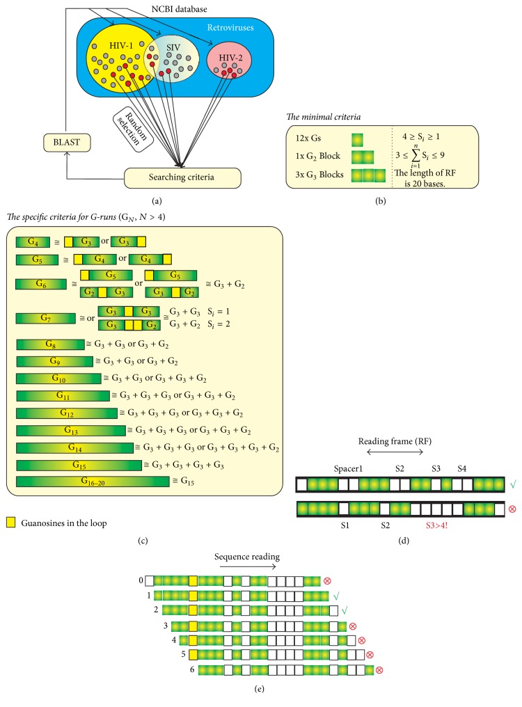 Putative HIV and SIV G-Quadruplex Sequences in Coding and Noncoding Regions Can Form G-Quadruplexes.