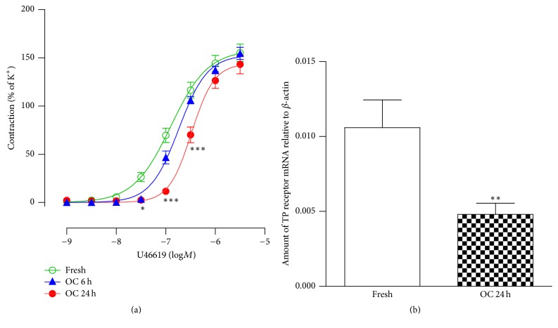 Downregulation of Thromboxane A<sub>2</sub> Receptor Occurs Mainly via Nuclear Factor-KappaB Signaling Pathway in Rat Renal Artery.