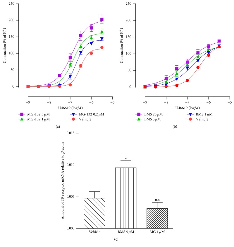 Downregulation of Thromboxane A<sub>2</sub> Receptor Occurs Mainly via Nuclear Factor-KappaB Signaling Pathway in Rat Renal Artery.