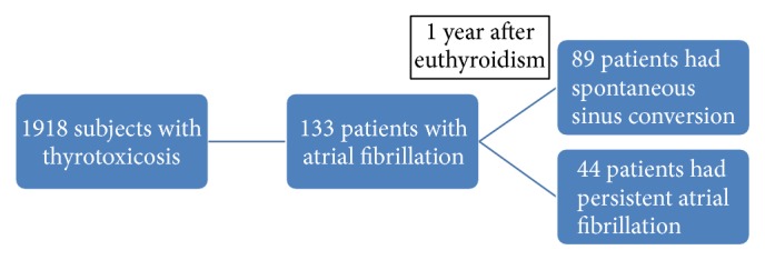 Thyrotoxic Atrial Fibrillation: Factors Associated with Persistence and Risk of Ischemic Stroke.