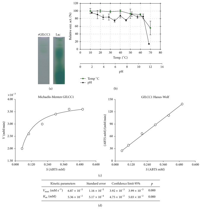 Plackett-Burman Design for rGILCC1 Laccase Activity Enhancement in <i>Pichia pastoris</i>: Concentrated Enzyme Kinetic Characterization.